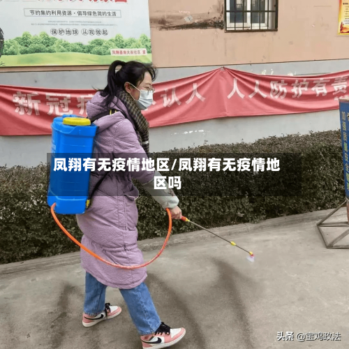 凤翔有无疫情地区/凤翔有无疫情地区吗