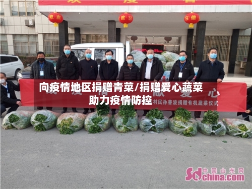 向疫情地区捐赠青菜/捐赠爱心蔬菜助力疫情防控