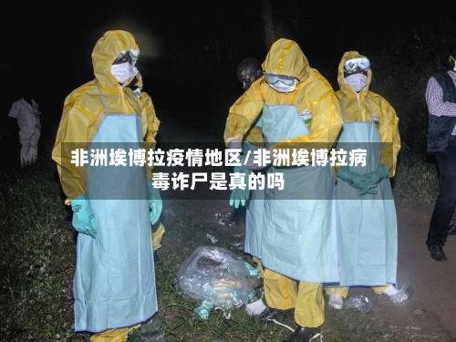 非洲埃博拉疫情地区/非洲埃博拉病毒诈尸是真的吗-第2张图片