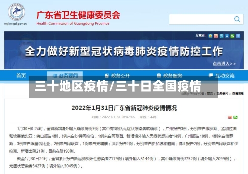 三十地区疫情/三十日全国疫情-第2张图片