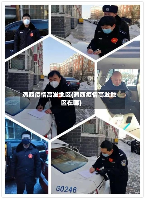 鸡西疫情高发地区(鸡西疫情高发地区在哪)
