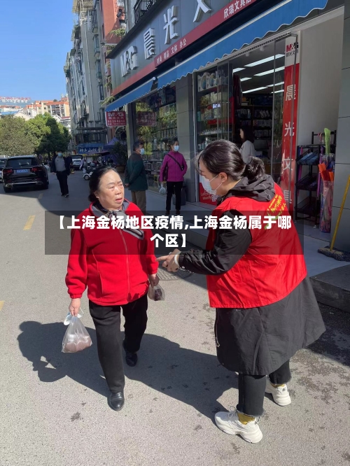 【上海金杨地区疫情,上海金杨属于哪个区】