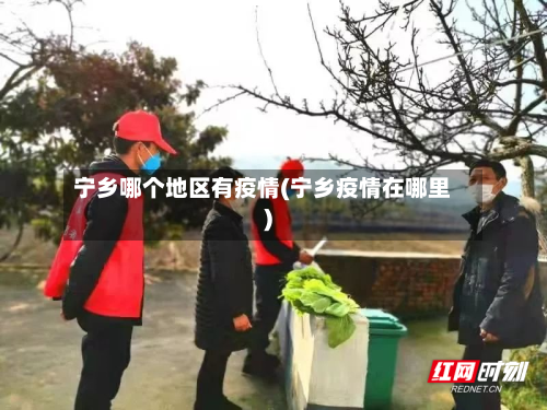 宁乡哪个地区有疫情(宁乡疫情在哪里)