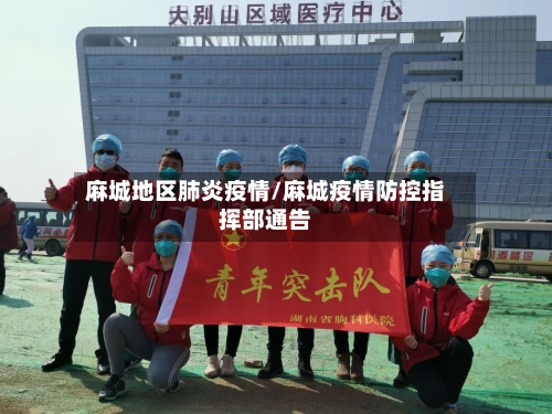 麻城地区肺炎疫情/麻城疫情防控指挥部通告