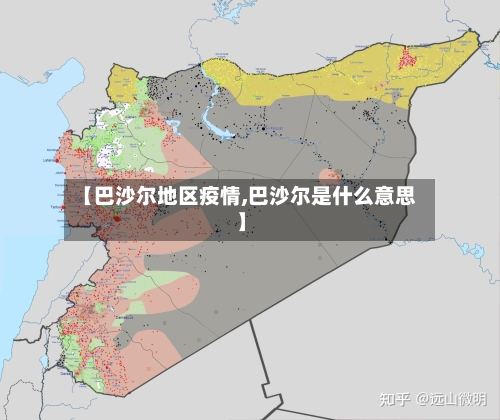 【巴沙尔地区疫情,巴沙尔是什么意思】-第2张图片