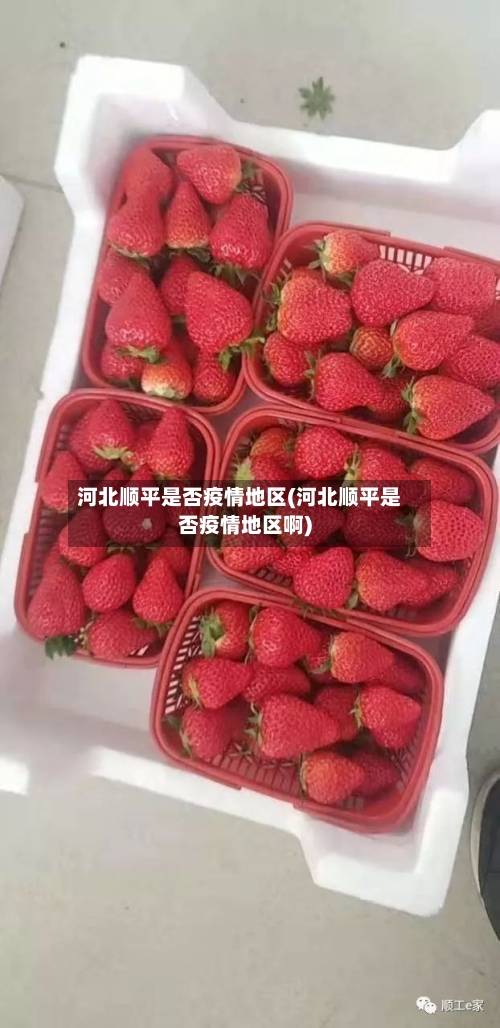 河北顺平是否疫情地区(河北顺平是否疫情地区啊)-第2张图片
